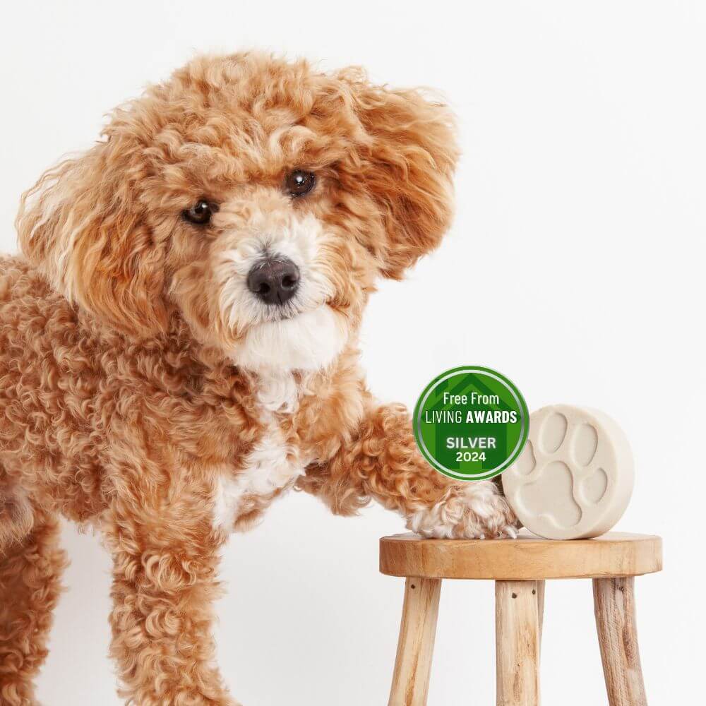 Clean & Calm Dog Shampoo Bar | Fragrance Free
