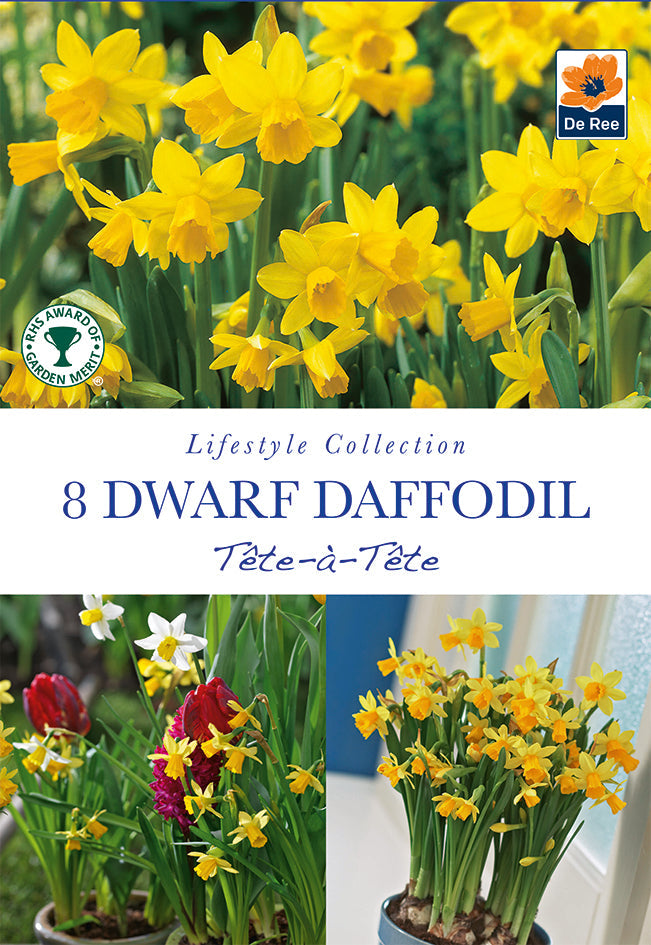 18 Tete a Tete Daffodil bulbs