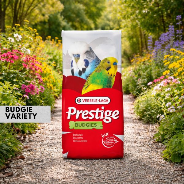 Versele Laga Jo Mannes Euro Champ Budgie Seed 20kg