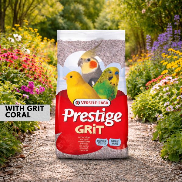 Versele Laga Prestige Grit With Coral 20kg