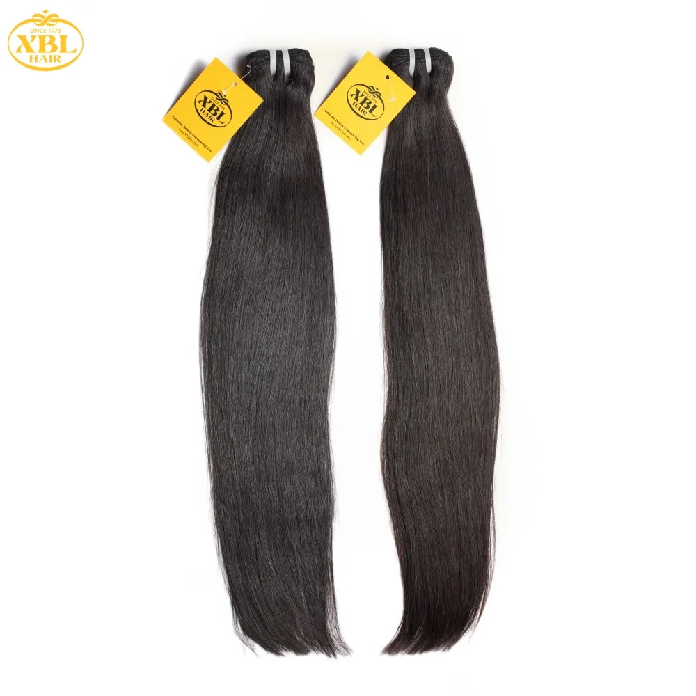 Raw Indian Hair Extensions for Professional Hair Stylists USA LA Local Pick up 100% Virgin Human Hair