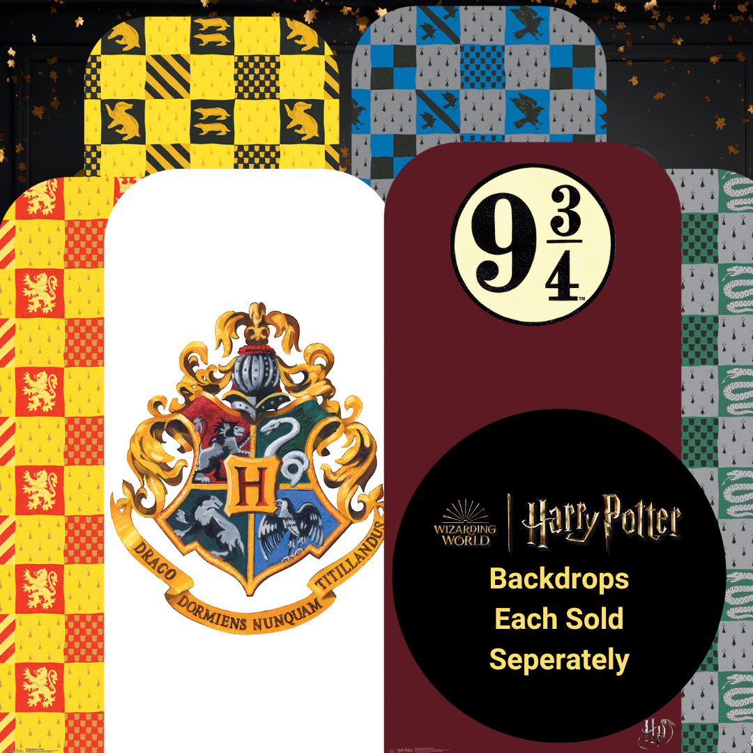 SC4451 Hogwarts Express Platform 9¾ Harry Potter Backdrop - Sailboard Cardboard Cut Out Height 193cm