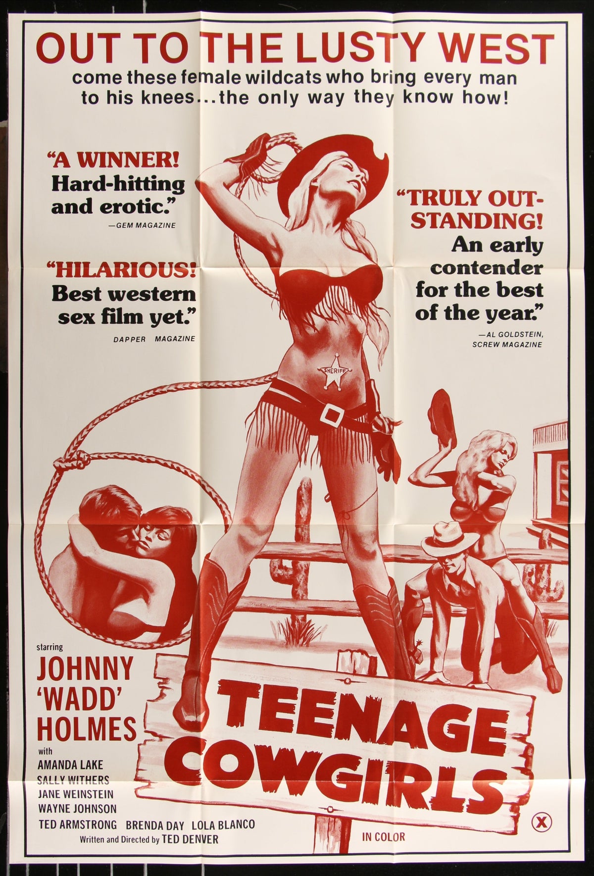 Teenage Cowgirls (1973) Original US One Sheet Movie Poster