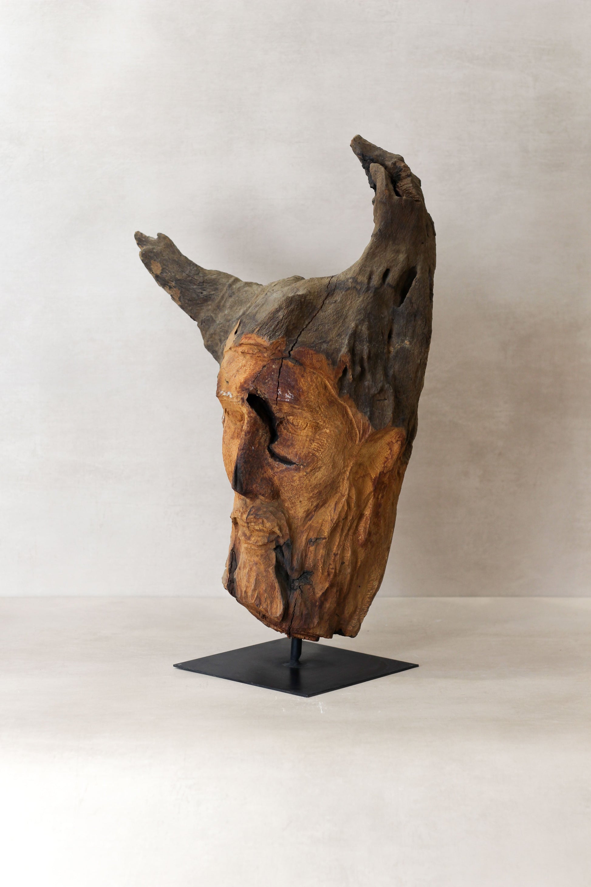 Rizimu Chiwawa Carved Driftwood Head Sculpture - Zimbabwe