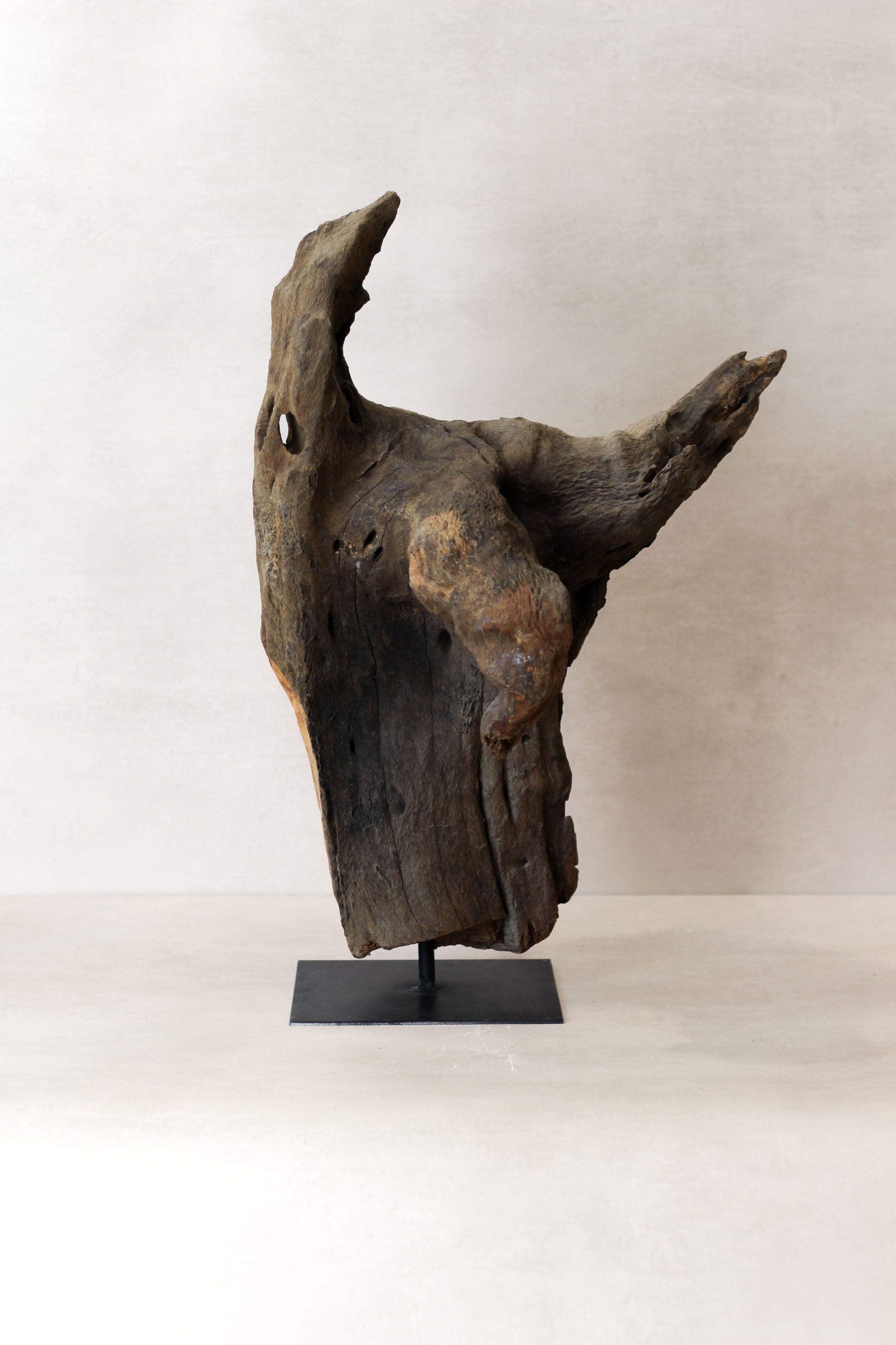 Rizimu Chiwawa Carved Driftwood Head Sculpture - Zimbabwe