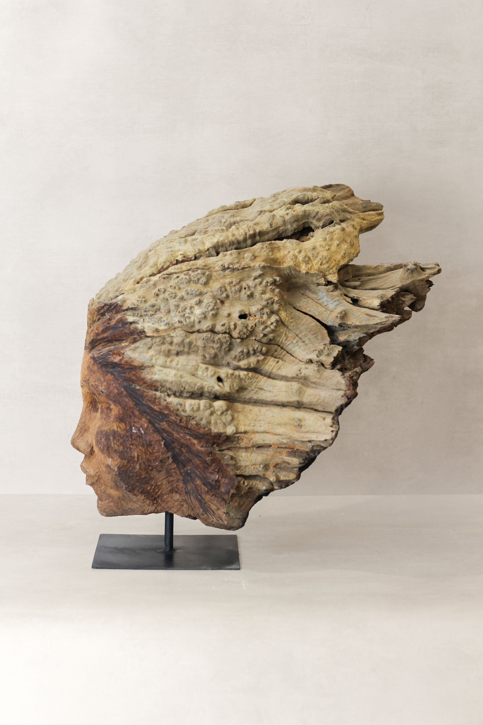 Rizimu Chiwawa Carved Driftwood Head Sculpture - Zimbabwe