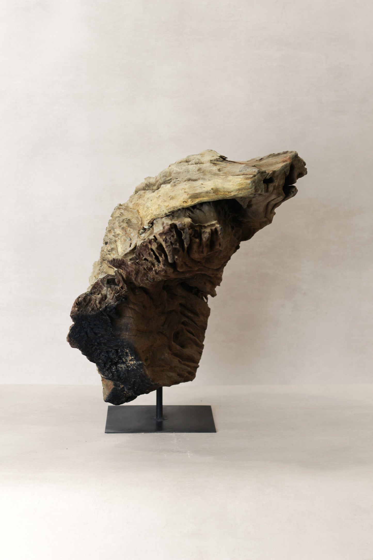 Rizimu Chiwawa Carved Driftwood Head Sculpture - Zimbabwe