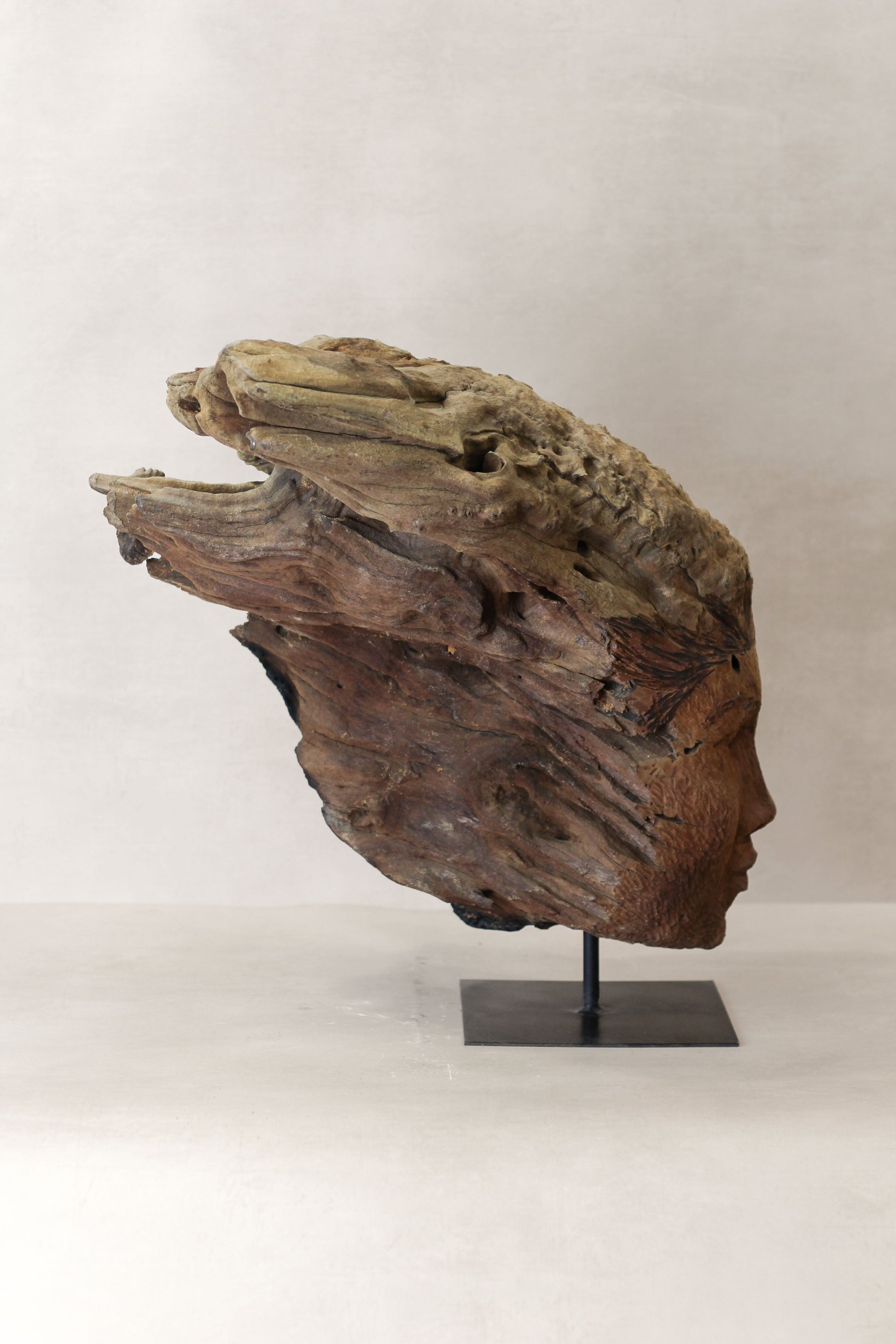 Rizimu Chiwawa Carved Driftwood Head Sculpture - Zimbabwe