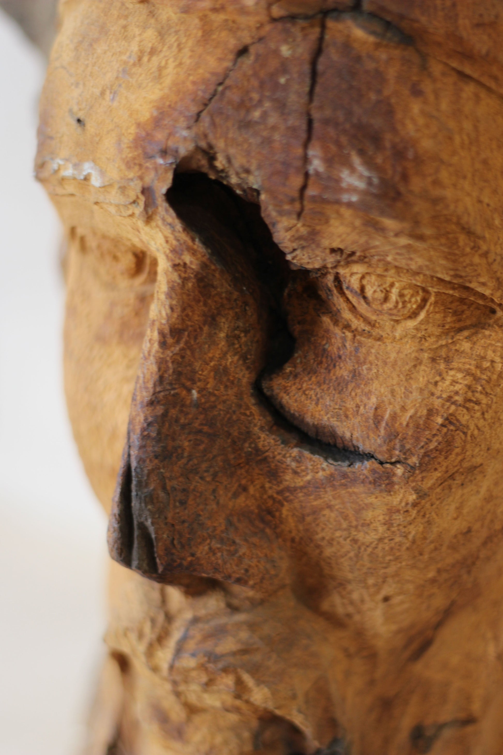 Rizimu Chiwawa Carved Driftwood Head Sculpture - Zimbabwe