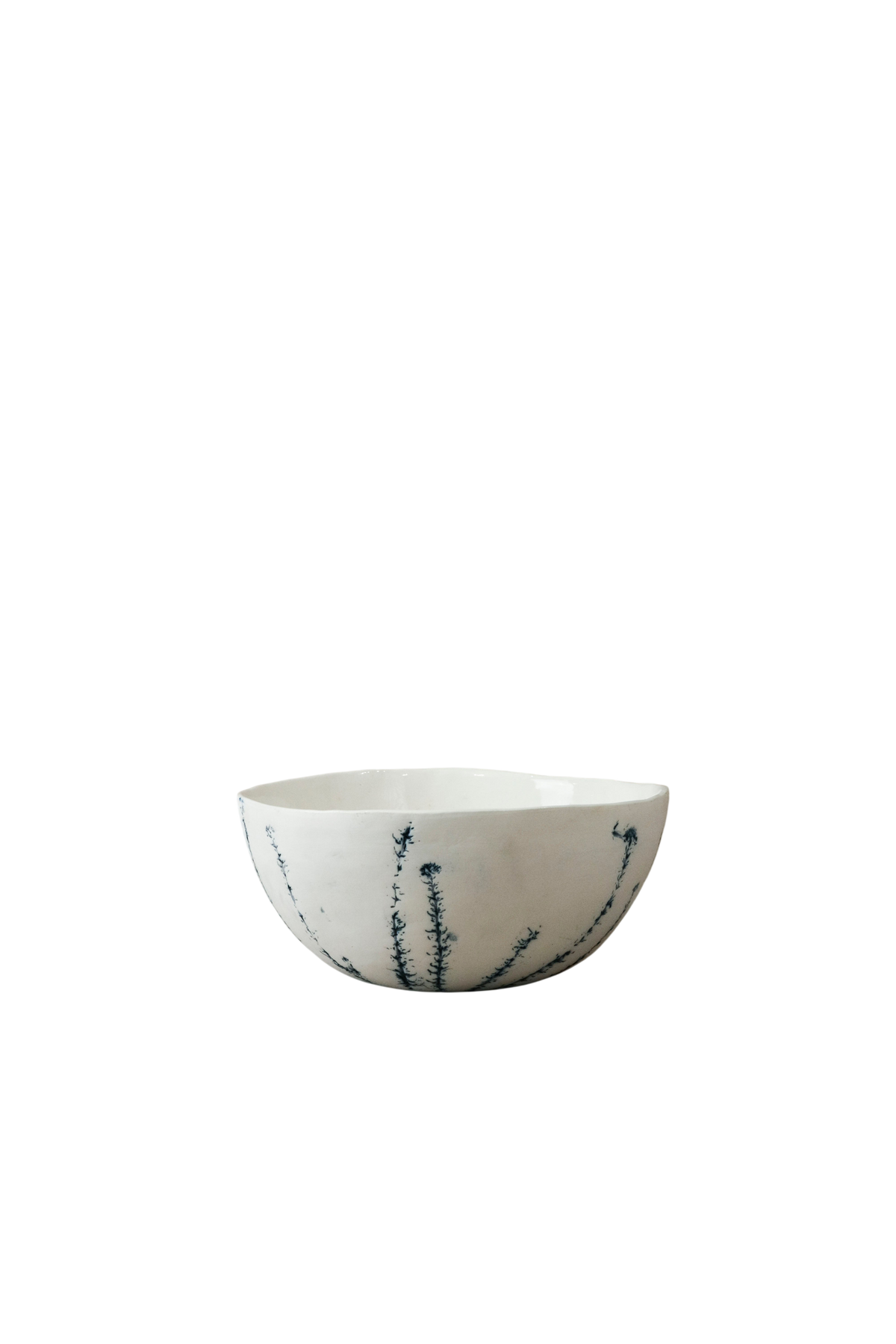 Cobalt Blue Fynbos bowl - n°12