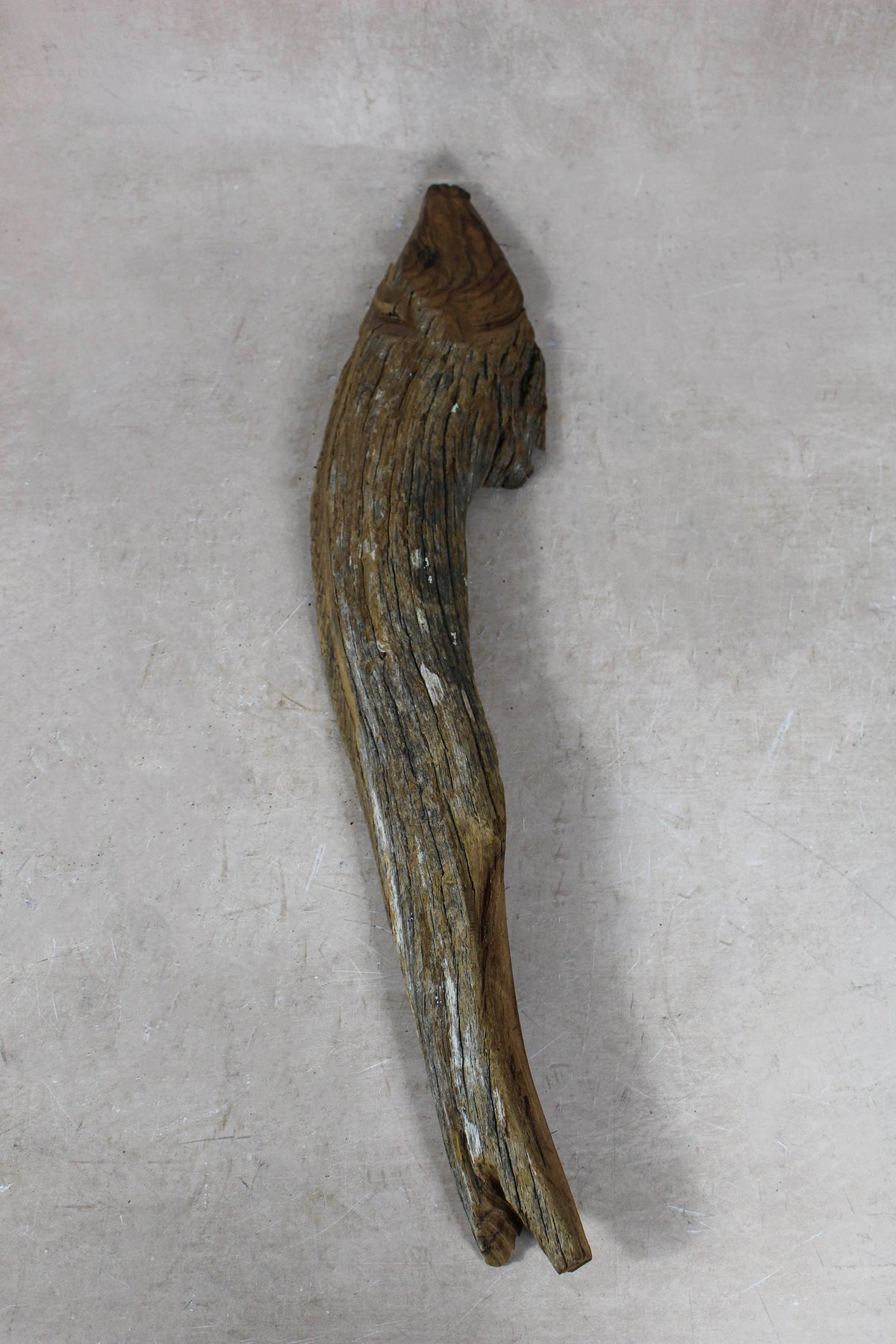 Driftwood Hand Carved Fish - 116.7