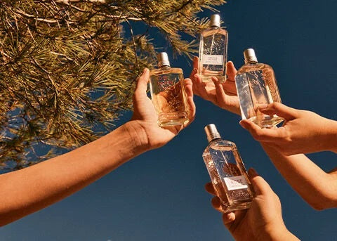 Loccitane NEROLI & ORCHID edt vapor 75 ml including perfume samples