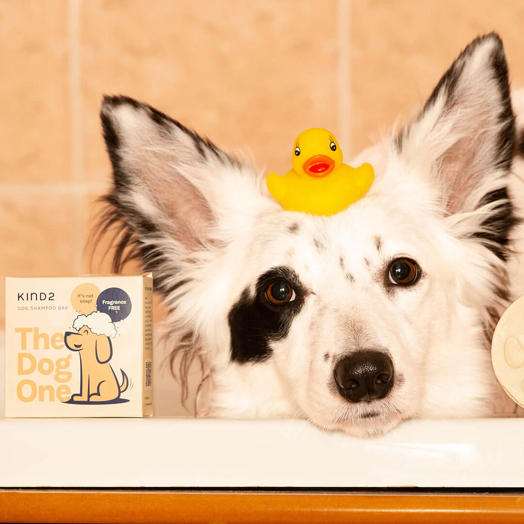 Clean & Calm Dog Shampoo Bar | Fragrance Free
