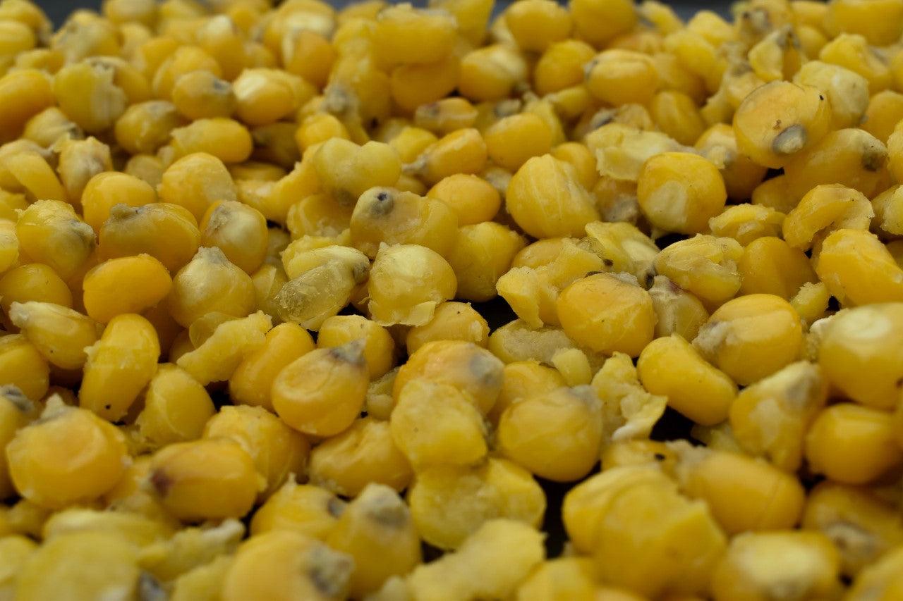 Maize