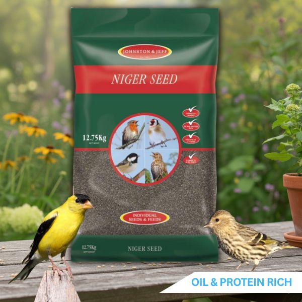 Niger Bird Seed