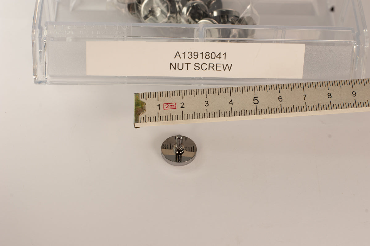 OMS Regulator Nut Screw A13918041