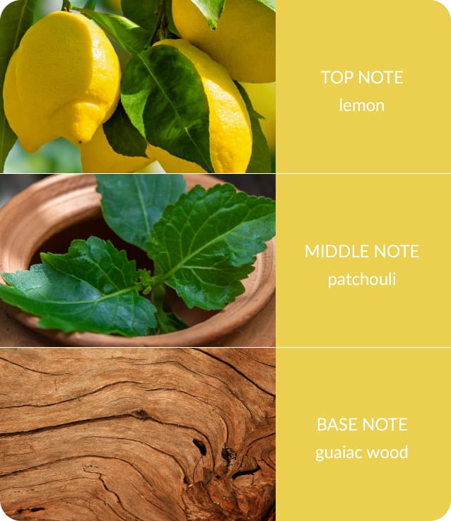 Bamboo Patchouli & Guaiac Wood Small Soy Candle 20 Hours Burn - Crackling Wick