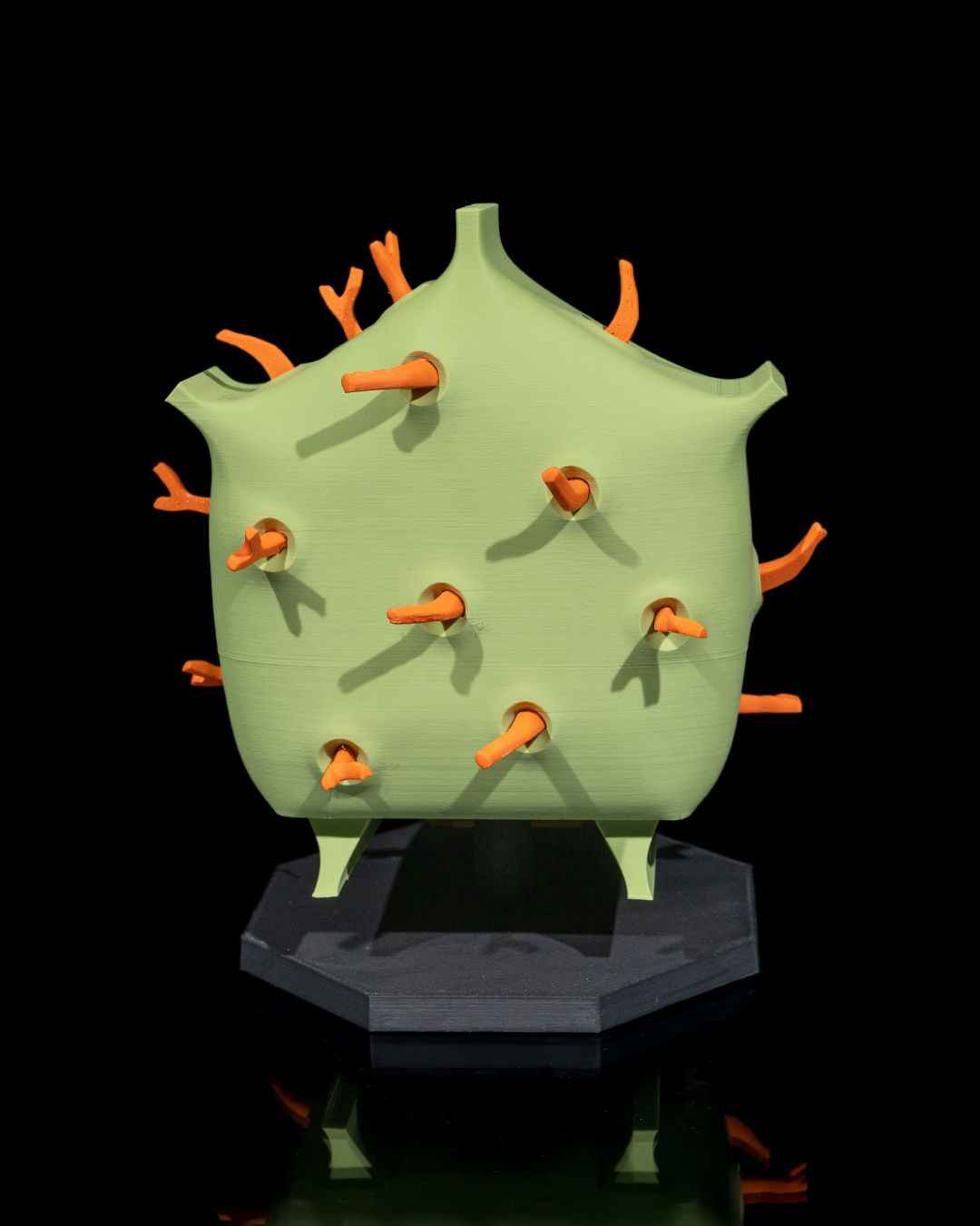 Plant Cell educational model
