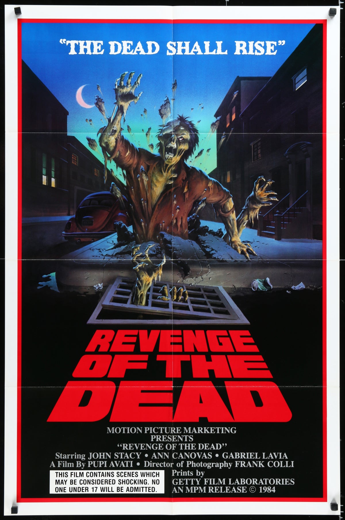 Revenge of the Dead (1985) Original US One Sheet Movie Poster 27x41