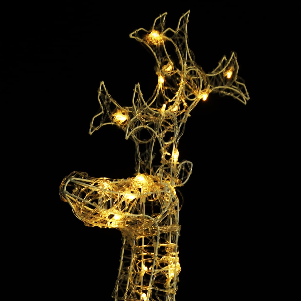 S037873455_14.jpg