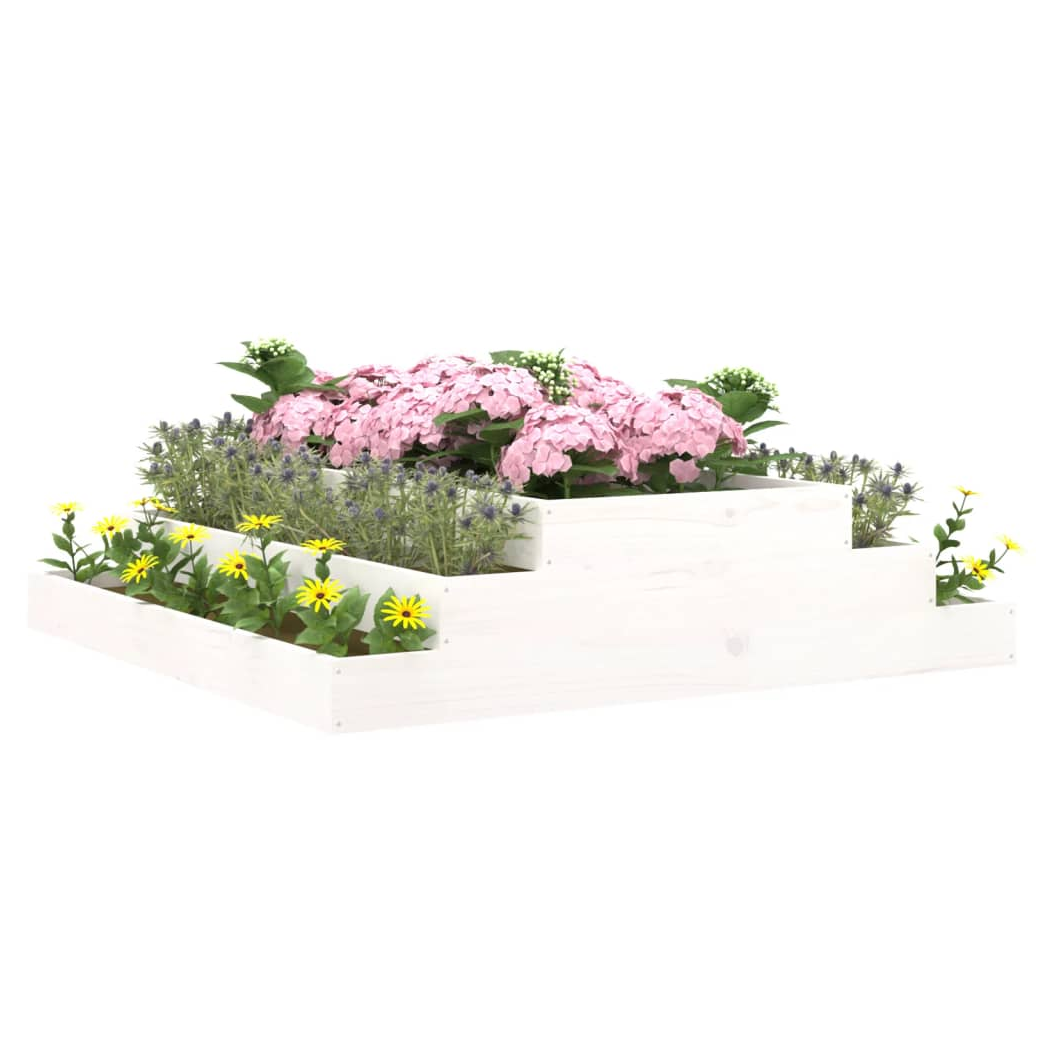 5b01ad8f-49df-4a21-90c6-843b956cc8f8.png