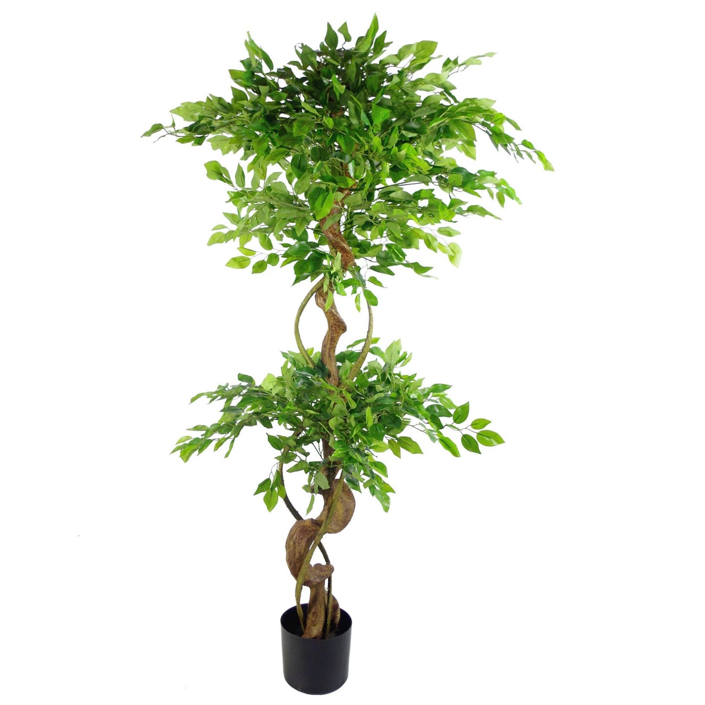 150cm Twisted Trunk Artificial Japanese Fruticosa Style Ficus Tree