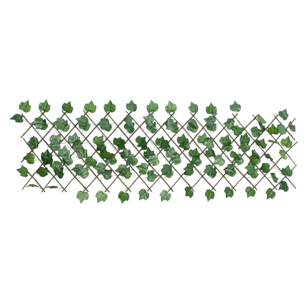 58e6a3f0-5a57-4a35-939c-a344a41eef84.png