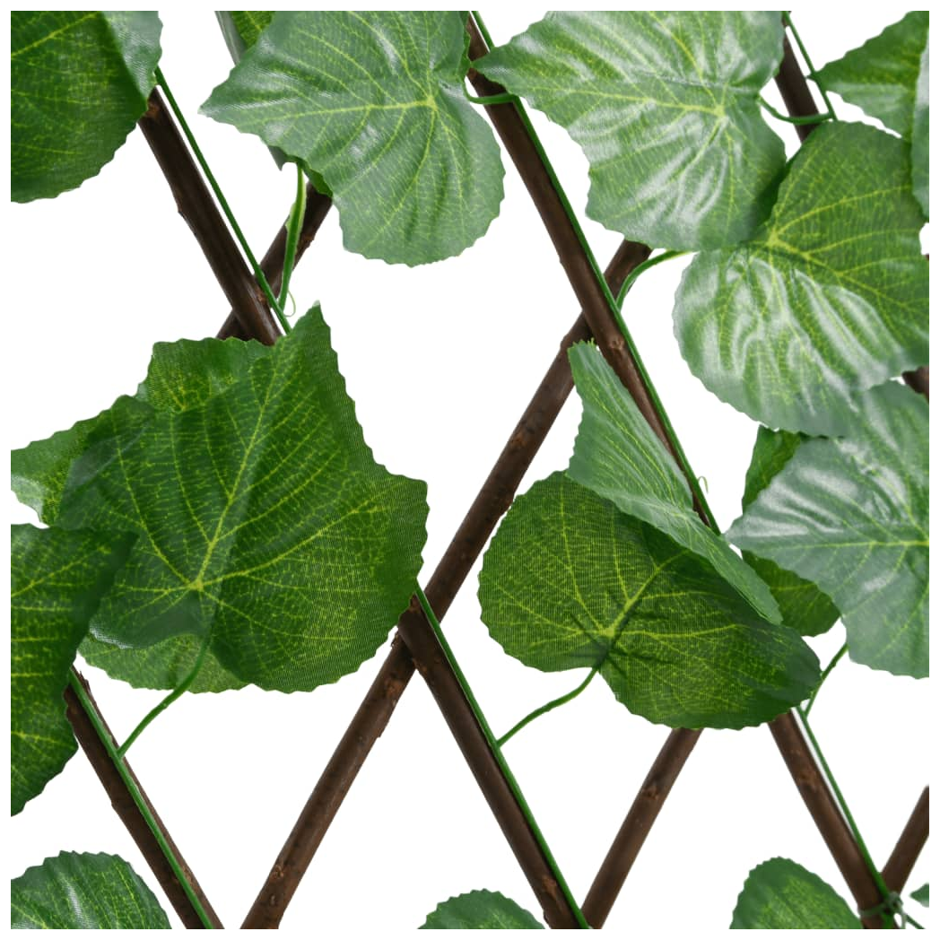c44e3011-2e36-4841-b1cf-6a4a7bc444c0.png