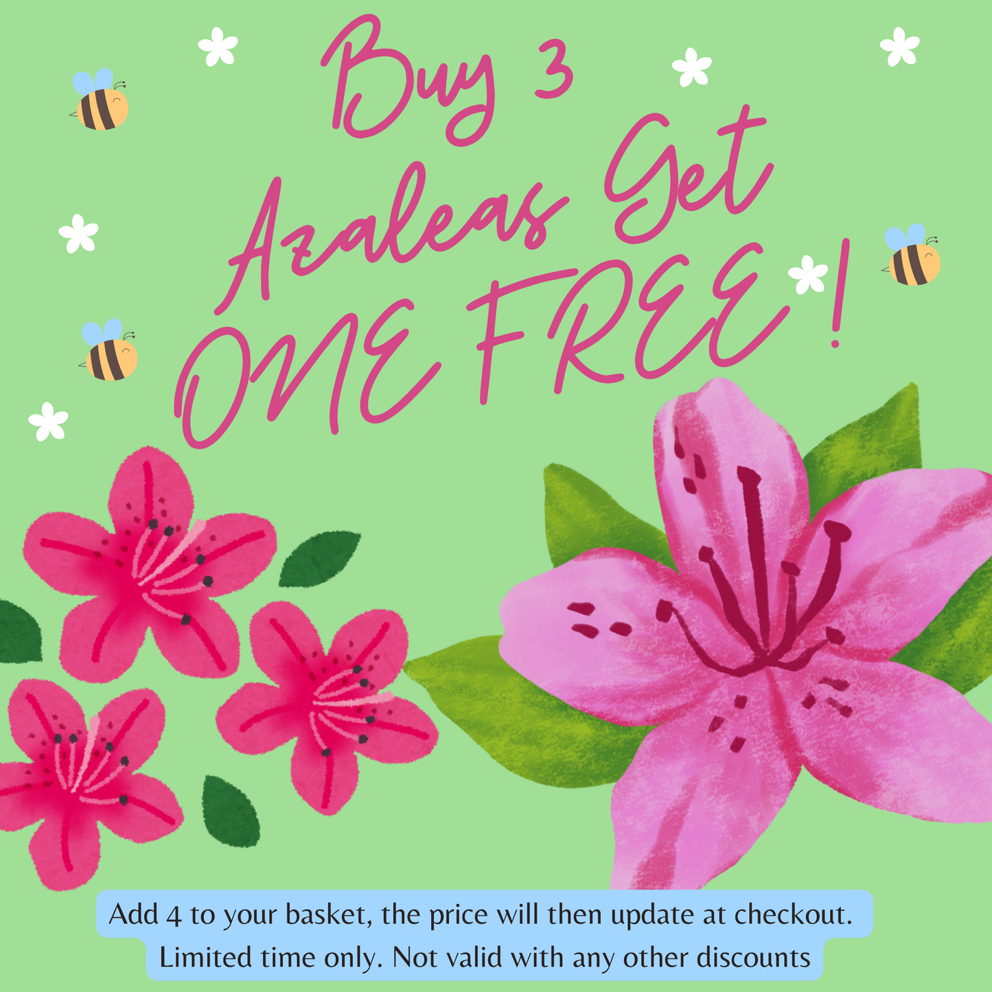 azalea_offer_pic.png