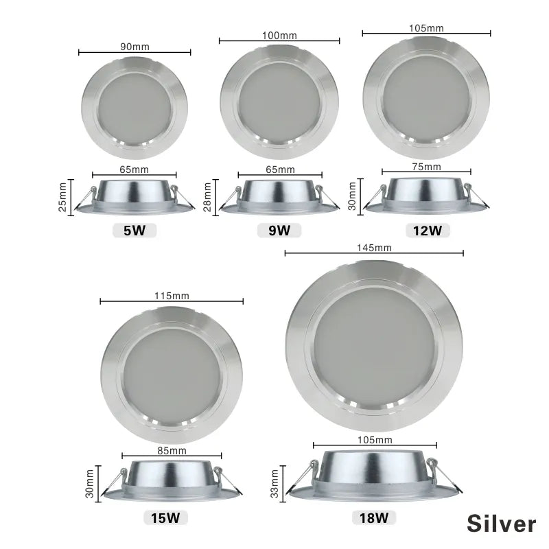220V Ceiling Light