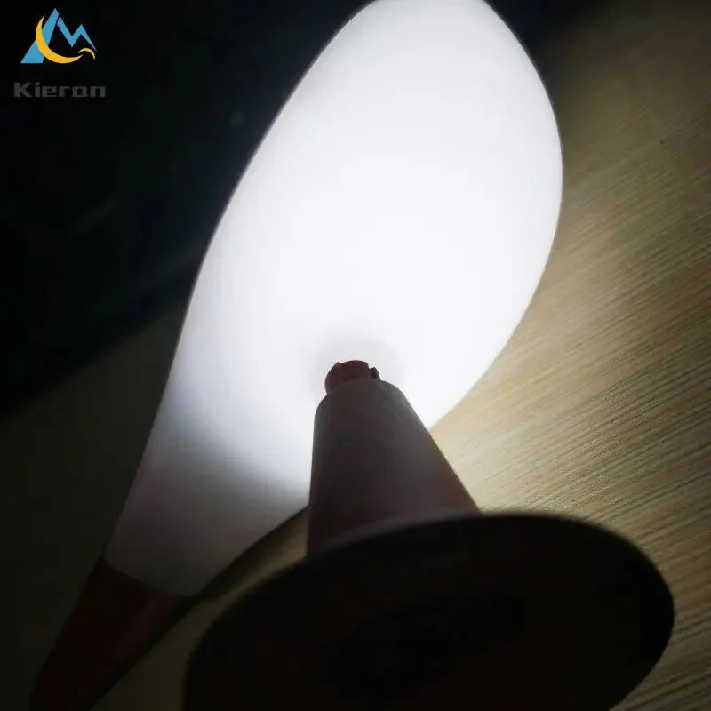 Modern Simple Magpie Led Desk Light Bedroom Study Bedside Lamp