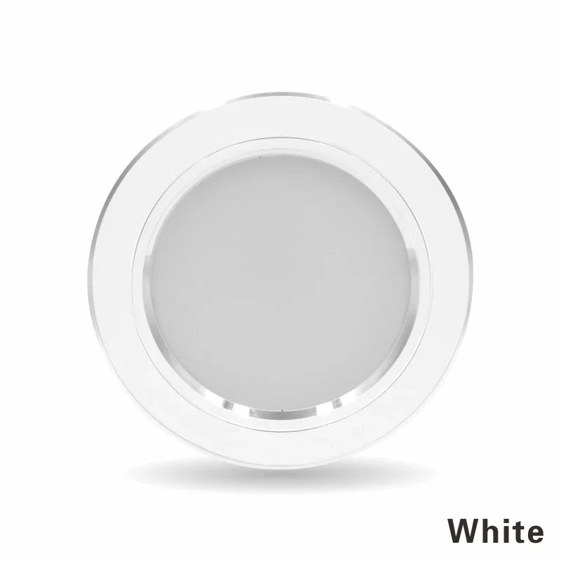 220V Ceiling Light