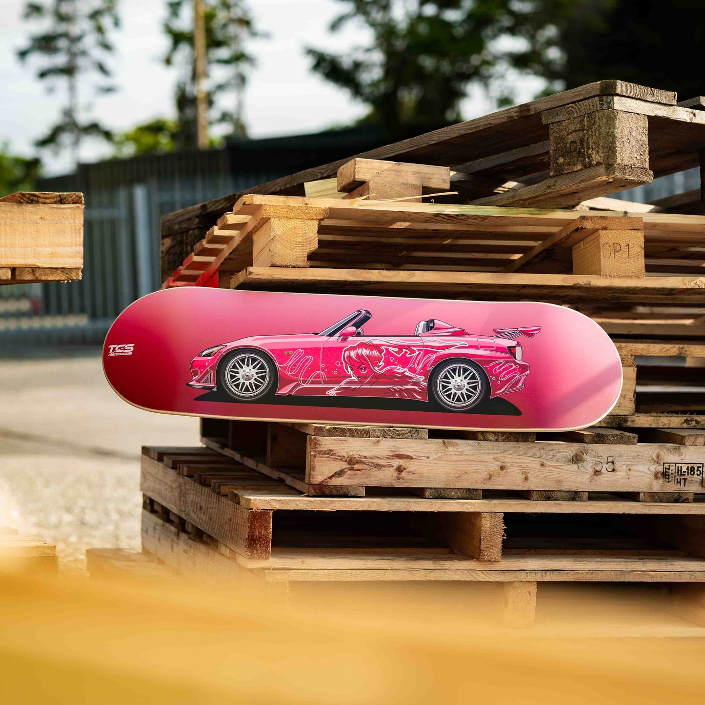 Suki's 2 Fast and 2 Furious inspired Skate Deck Wall Art