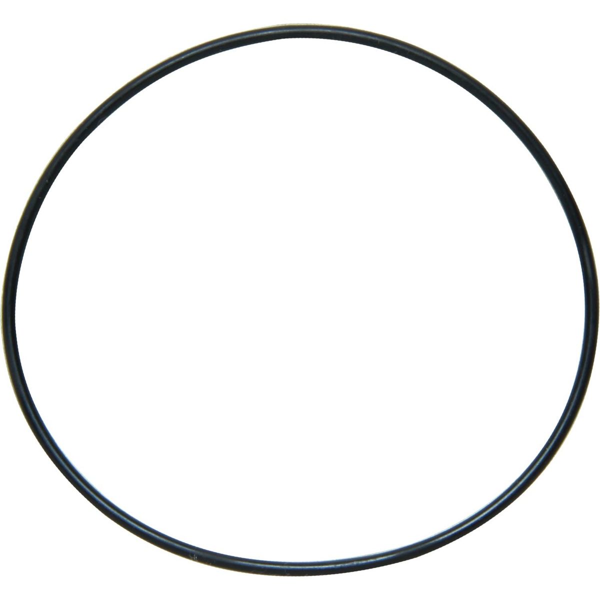 Sherwood 21525 O-Ring for Sherwood P2700 Series Pumps SW21525