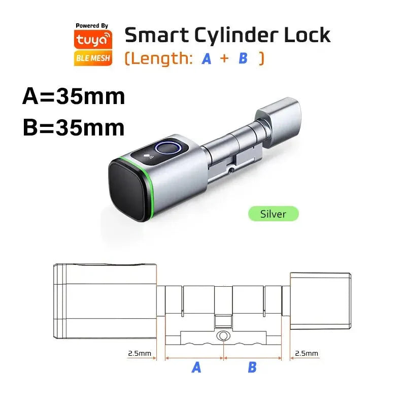 Smart Lock With Tuya Bluetooth Fingerprint 13.56mhz IC Card Include