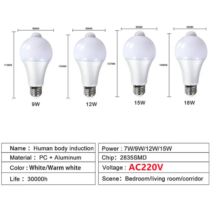 PIR Motion Sensor Lamp