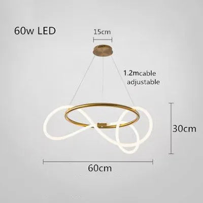 Modern Long Hose Led Ceiling Chandelier