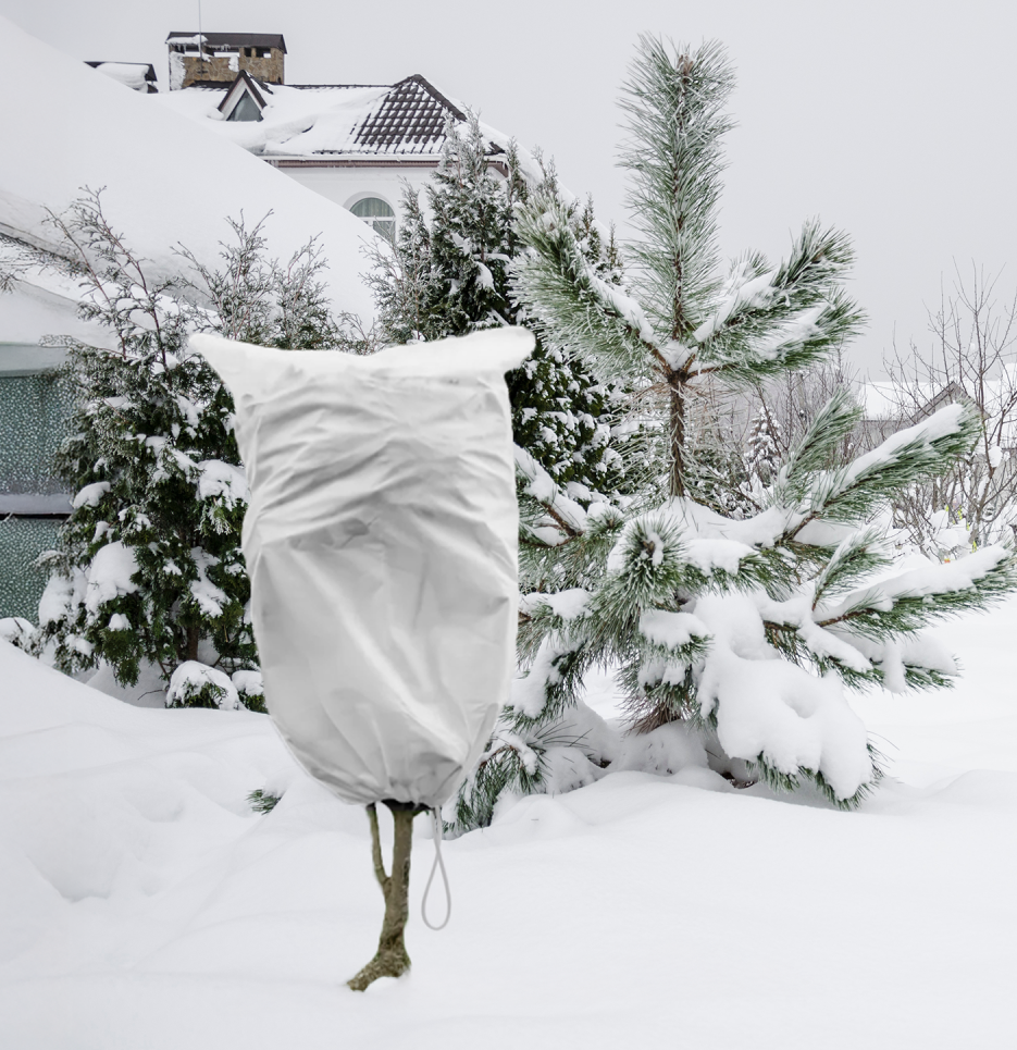 Protective Plant Cover, 50gsm Sack with Cord, Diameter: 45 cm, Size: 0.7m × 1.1 m