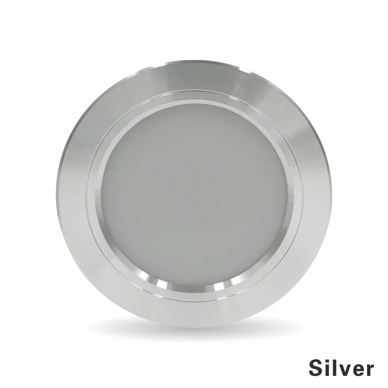 220V Ceiling Light