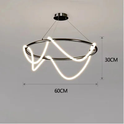 Modern Long Hose Led Ceiling Chandelier