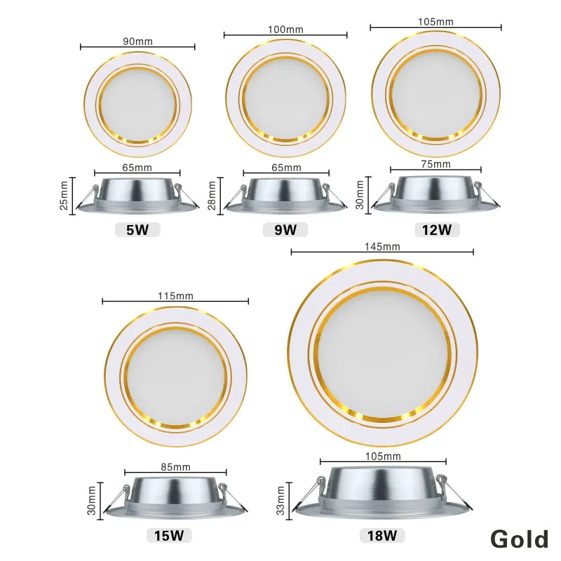 220V Ceiling Light