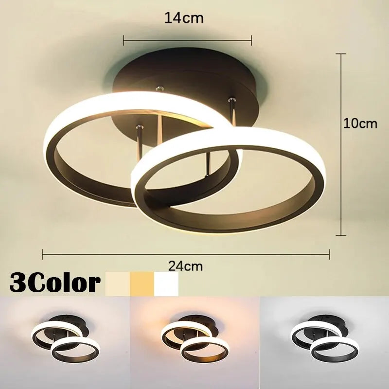 Modern Style Ceiling Lamp