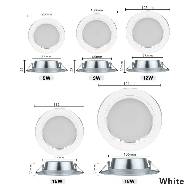 220V Ceiling Light