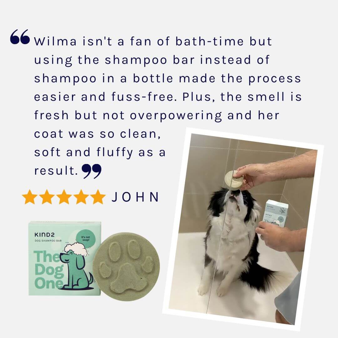 Clean & Calm Dog Shampoo Bar | Neem & Lavender