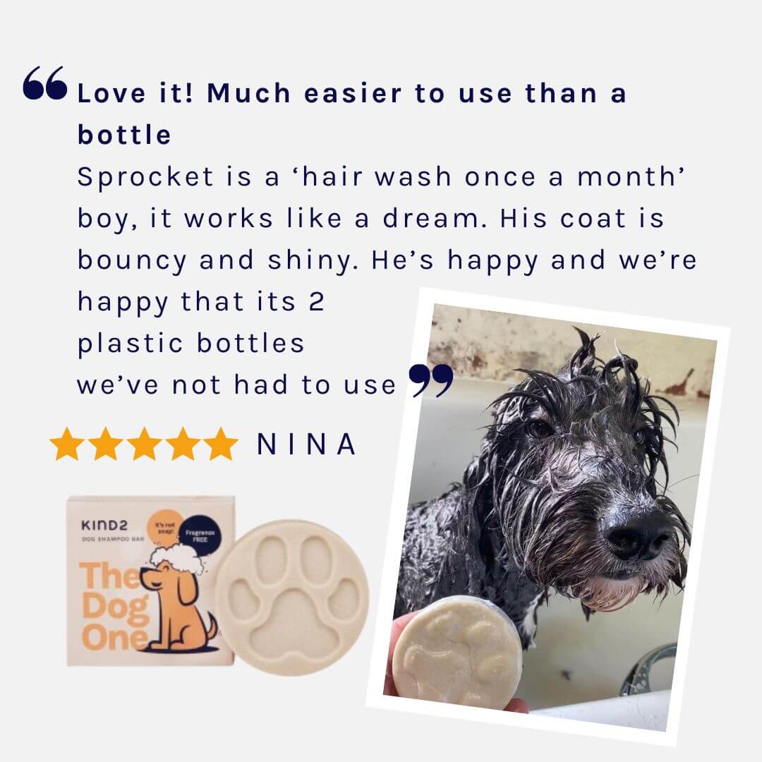 Clean & Calm Dog Shampoo Bar | Fragrance Free