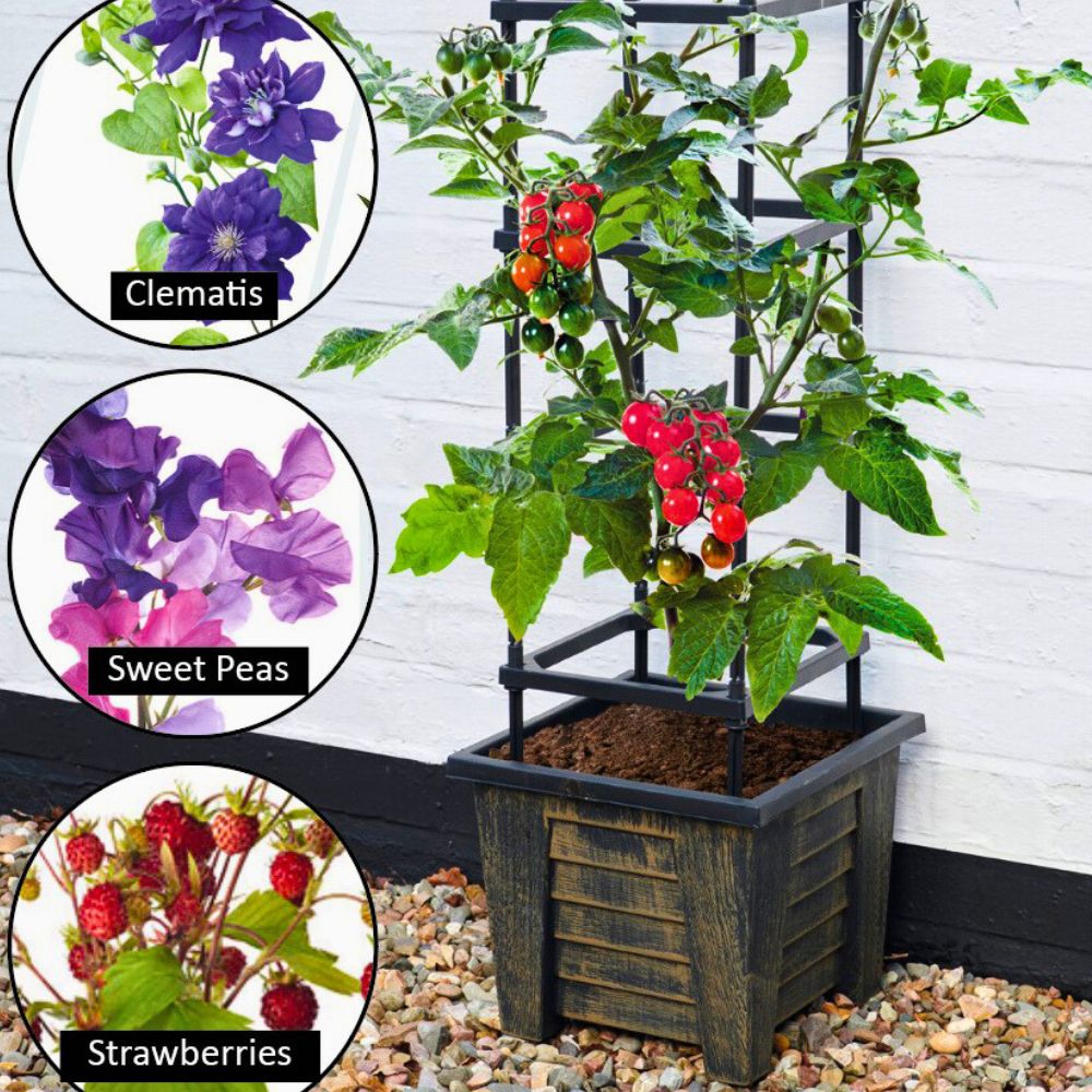 4 Tier Trellis Planter for Climbing Plants – Outdoor Vegetable & Flower Planter