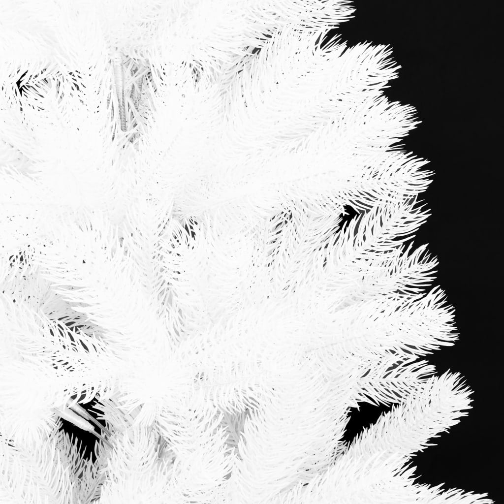 V069826500_13.jpg