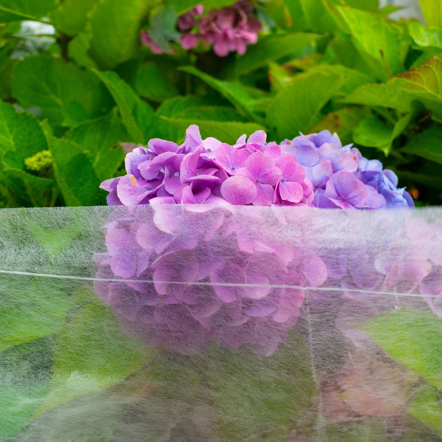 17g Non-Woven Frost Protect Fleece 1.6m x 10m