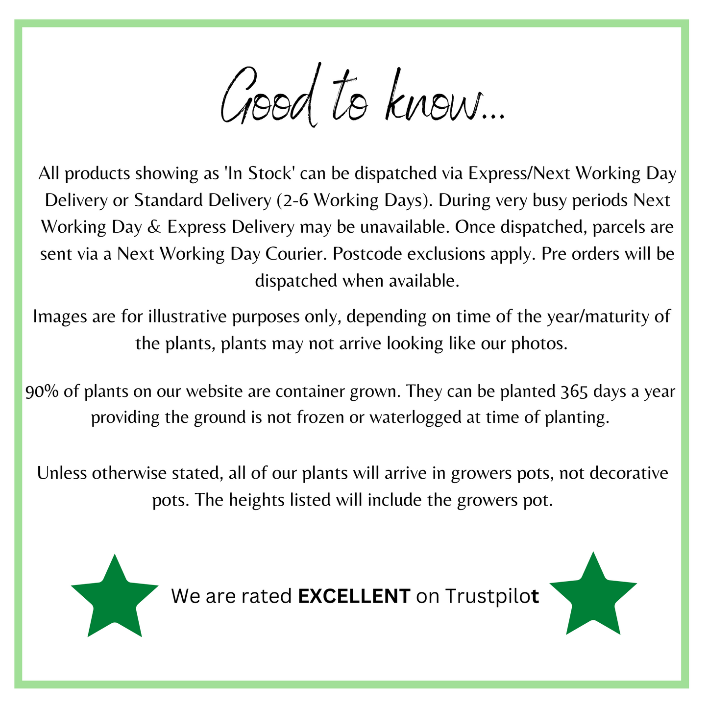 3 x Trailing Petunias (3 x 9cm Pots)