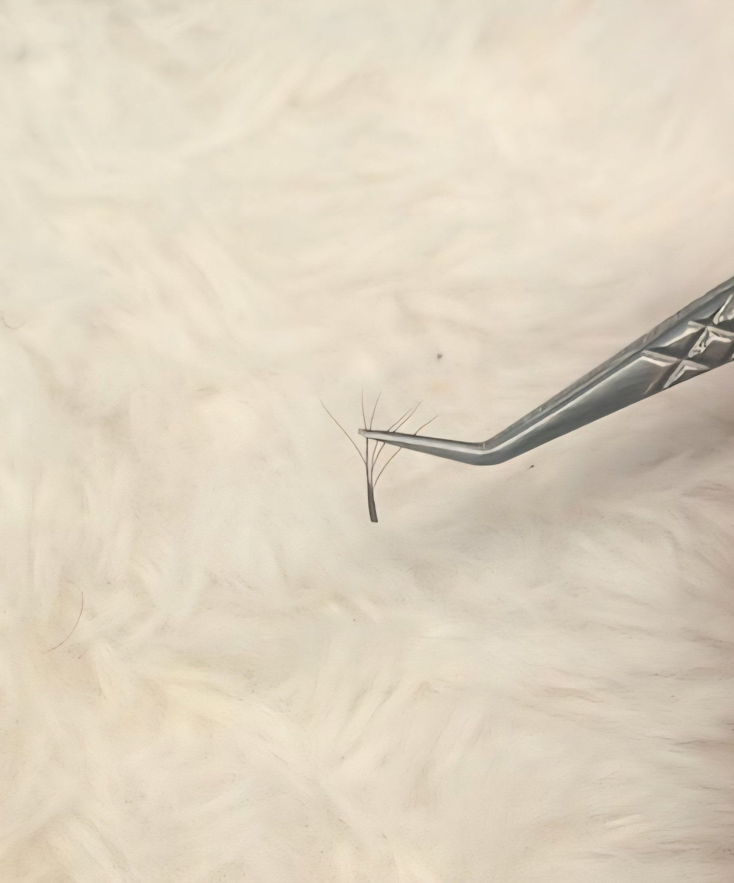 Brown 6D Clover Single Length